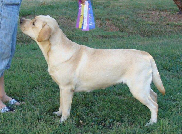 Micah takes breed at Clermont
